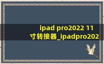 ipad pro2022 11寸转接器_ipadpro202211寸转接器推荐